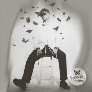 “The Butterfly and the Bomb”的封面