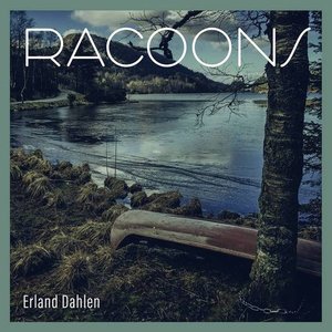 Image for 'Racoons'