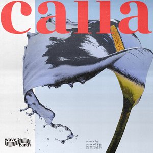 Image for 'calla'
