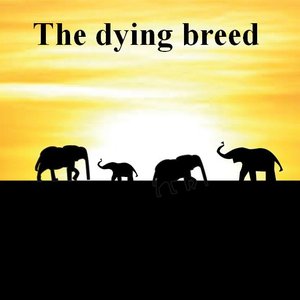 Image for 'The Dying Breed'