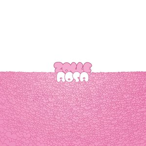 “ROSA”的封面
