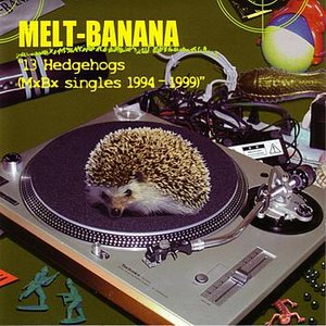 Image for '13 Hedgehogs (MxBx Singles 1994-1999)'