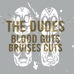 “Blood Guts Bruises Cuts”的封面