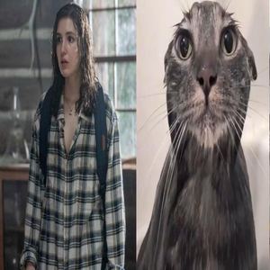 meugmi