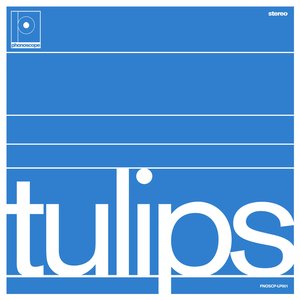 Изображение для 'Tulips'