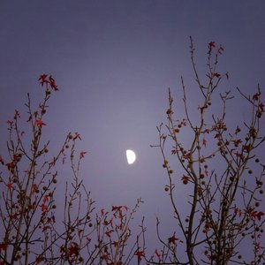 “Без названия”的封面