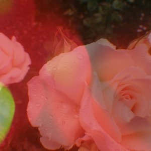 “First Date”的封面