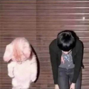 Immagine per 'Crystal Castles'