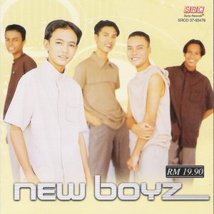 Bild für 'New Boyz'