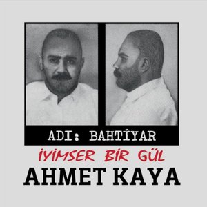 Imagem de 'İyimser Bir Gül'