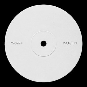 “Y-3004”的封面