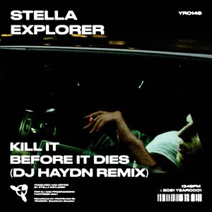 “Kill It Before It Dies (DJ Haydn Remix)”的封面