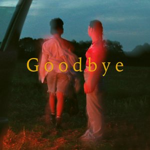 Image for 'Goodbye'
