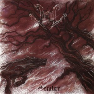 “Sombre”的封面