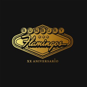 “Flamingos XX Aniversario”的封面