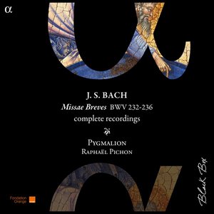 Image for 'J. S. Bach: Missæ Breves, BWV 232-236 (Complete Recordings)'