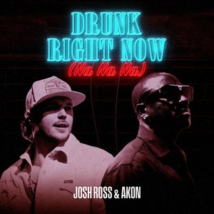 “Drunk Right Now (Na Na Na) with Akon”的封面