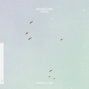 Image for 'Flight'