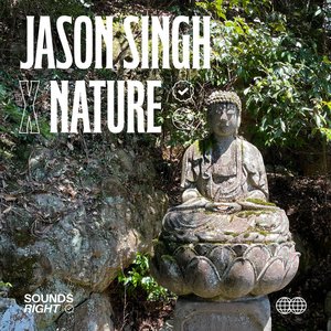 “Nature's Voice III”的封面