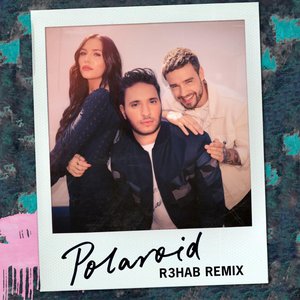 Image for 'Polaroid (R3HAB Remix)'
