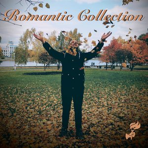 Image for 'Romantic Collection'