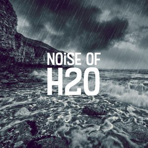 Image for 'Noise of H2O'