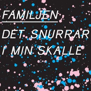Image for 'Det snurrar i min skalle'