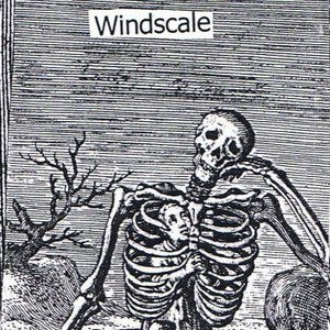 Image for 'Windscale'