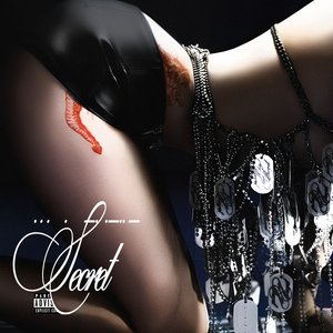 Image for 'Secret'