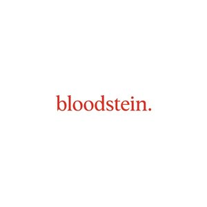 “bloodstein.”的封面