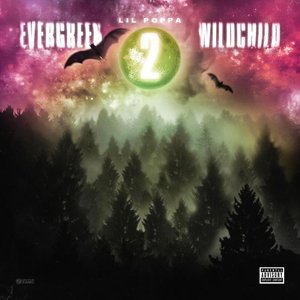 Image for 'Evergreen Wildchild 2'