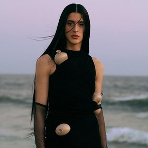 Image for 'Arca'