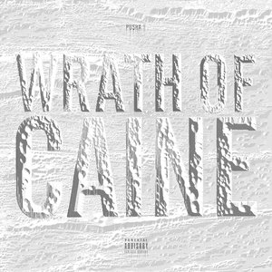 Image for 'Wrath of Caine'