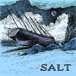 “SALT”的封面