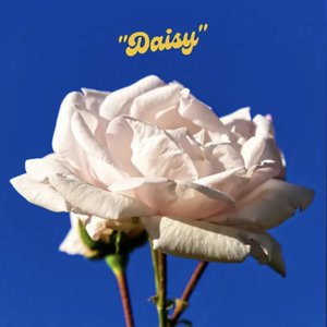 Image for 'Daisy'