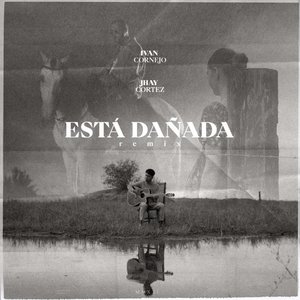 Image for 'Está Dañada (Remix)'