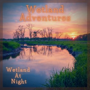 Image for 'Wetland At Night'