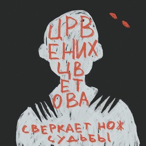 “Сверкает нож судьбы”的封面