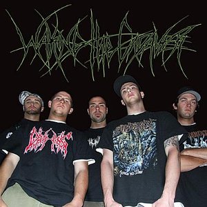 Image for 'Waking the Cadaver'