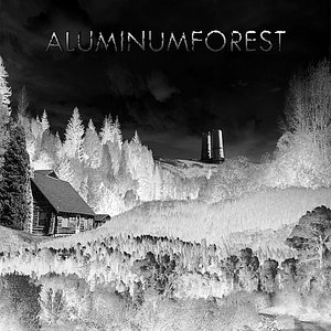 Bild für 'Aluminum Forest'