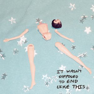 Image for 'It Wasn't Supposed To End Like This'