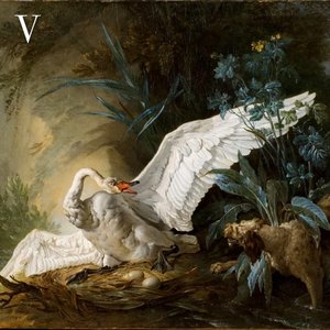 Image for 'V'