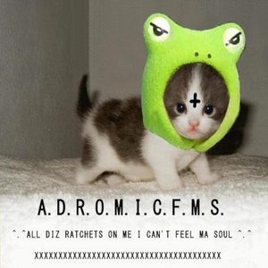 Image for 'A.D.R.O.M.I.C.F.M.S. 1'