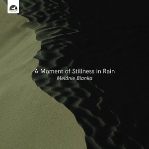 'A Moment of Stillness in Rain'の画像