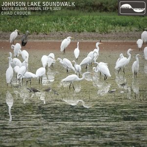 Image for 'Johnson Lake Soundwalk'