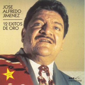 Image for '12 Exitos De Oro'