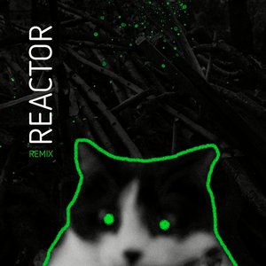 'REACTOR (remix)'の画像