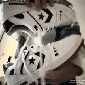 Immagine per 'stussy converse'