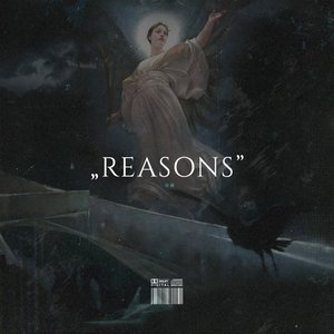 Image for 'Reasons'