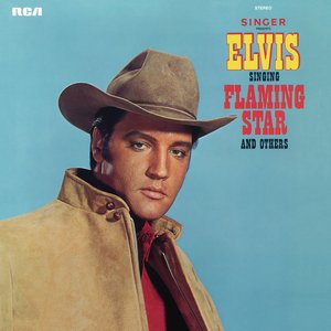 'Elvis Sings Flaming Star'の画像